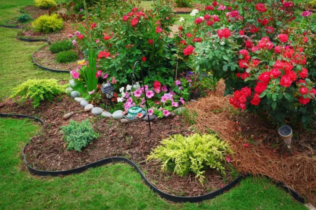 Top 5 Summer Landscaping Tips
