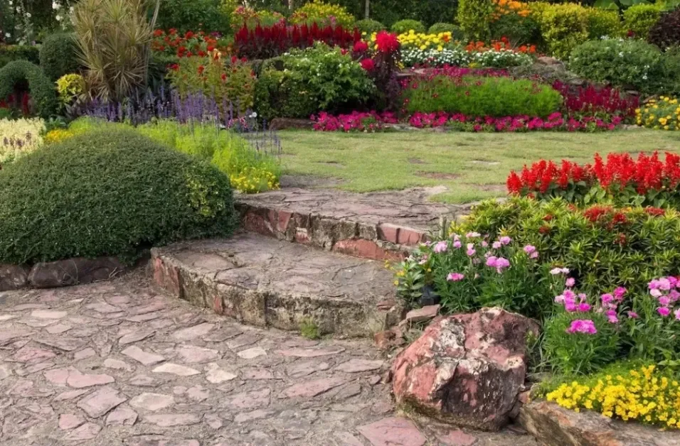 Top 5 Summer Plants for Your Garden