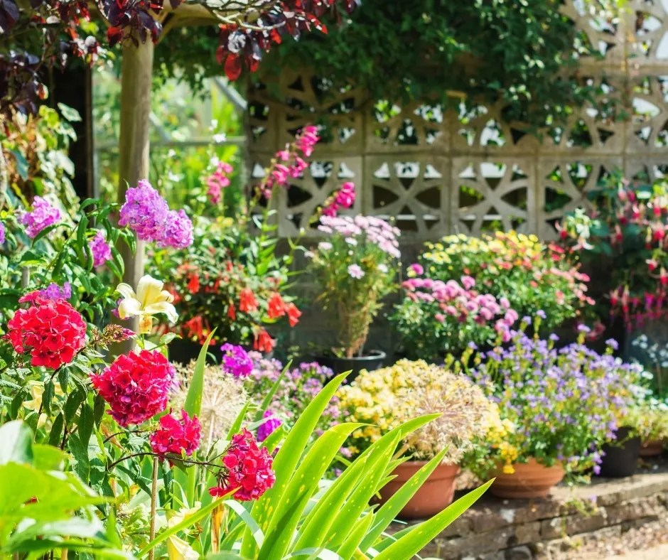Choosing the Right Plants for Your Garden