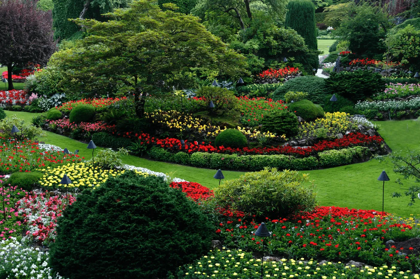 Choosing the Right Trees for Your Landscape This Summer