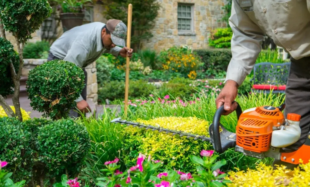 Landscape Maintenance Checklist for