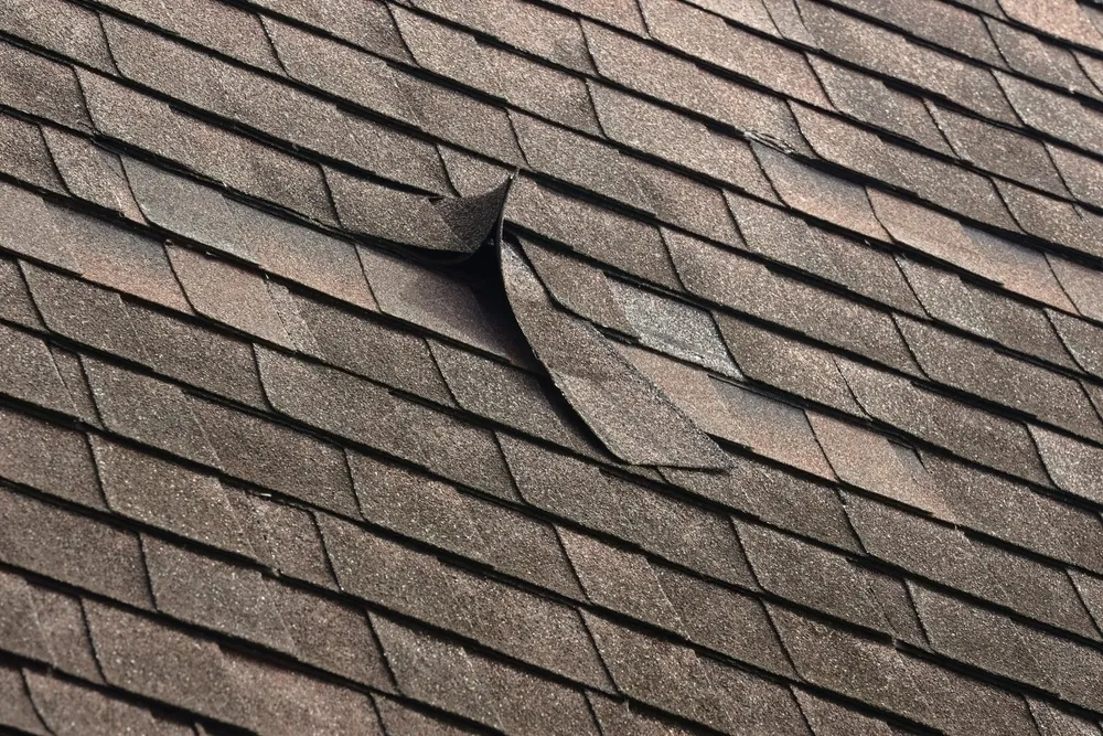 DIY Roof Repairs: What You Need to Know