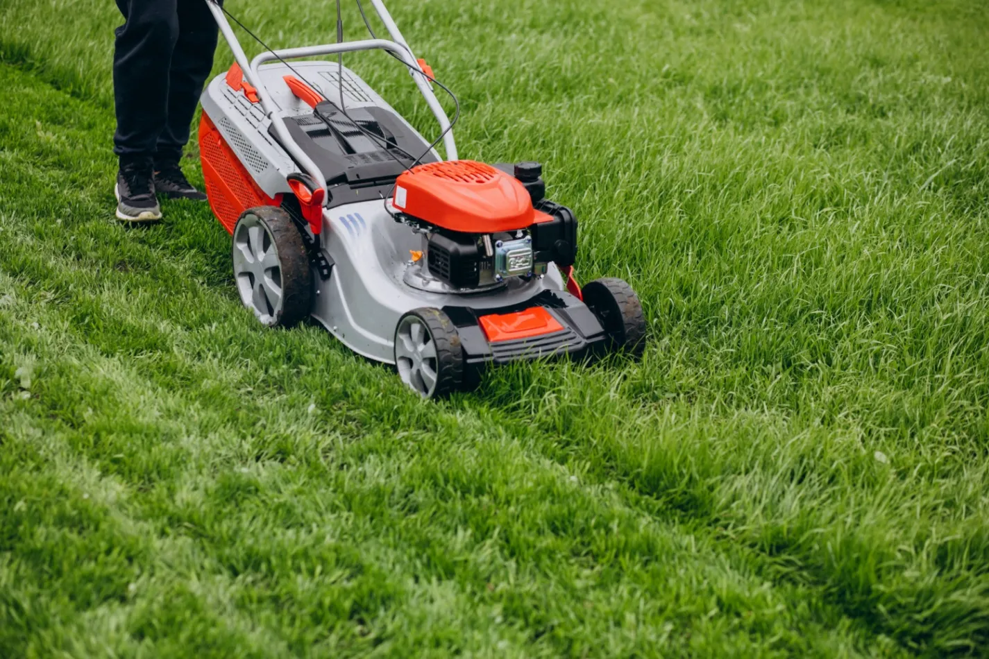 The Future of Lawn Care