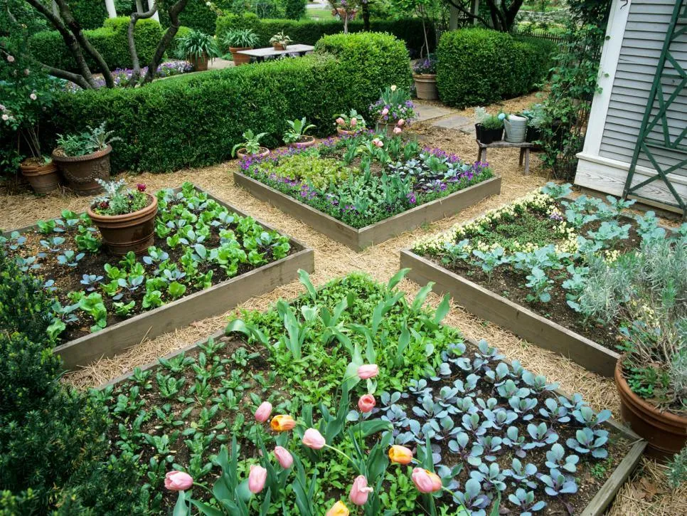 Wildlife: How to Create a Habitat in Your Yard