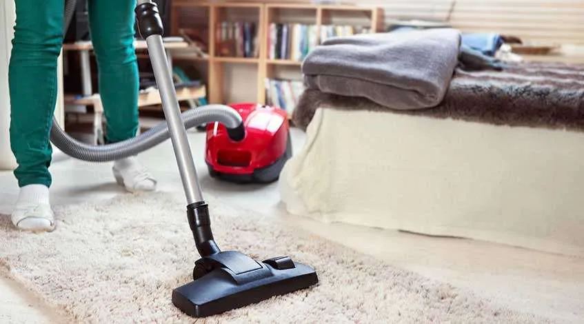How to Maintain a Clean Home with Pets