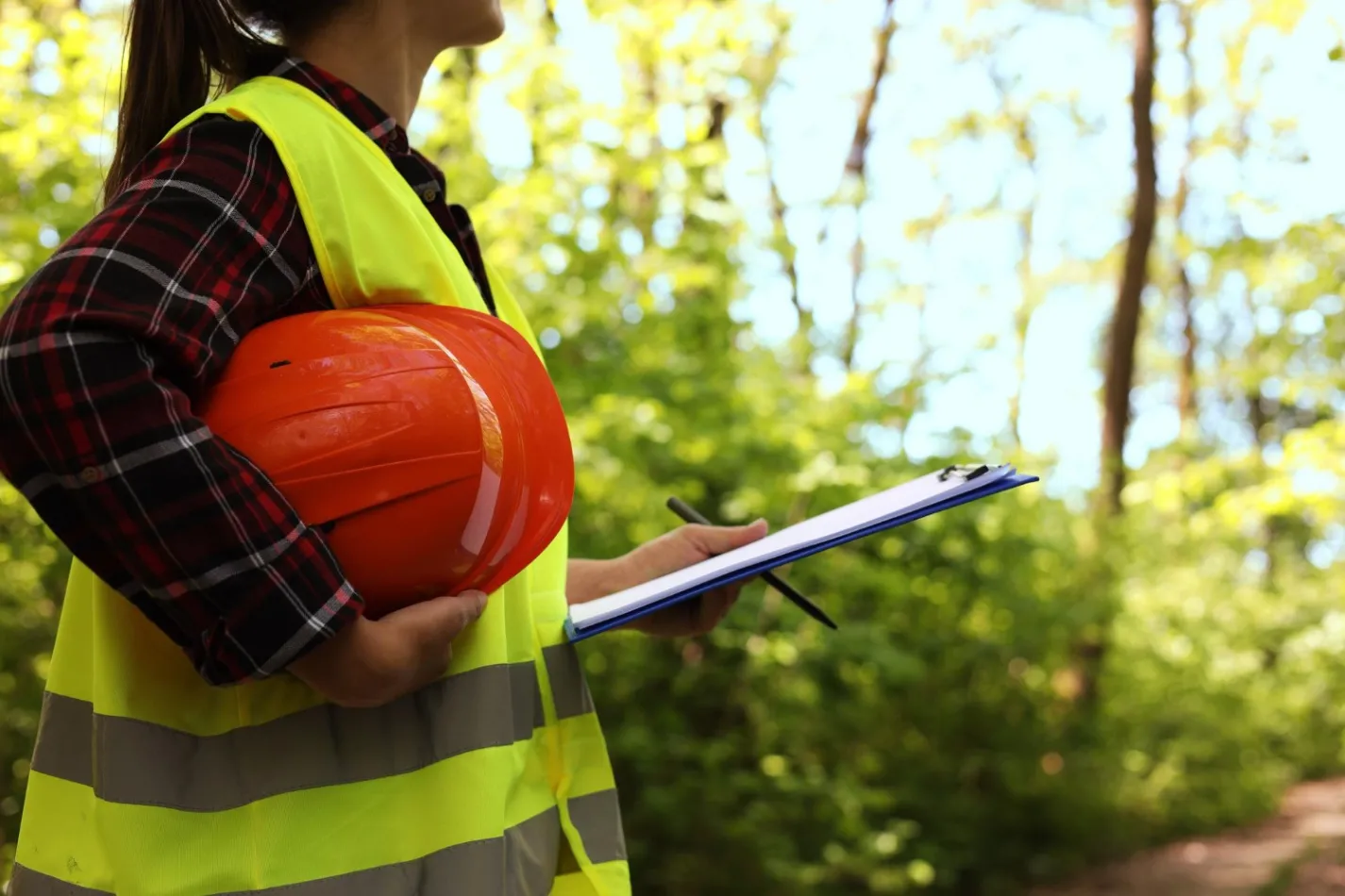The Benefits of Regular Tree Inspections