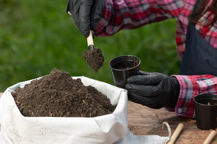 Choosing the Right Fertilizer for Your Plants