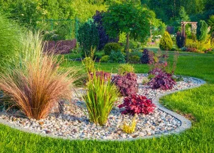 Choosing the Right Plants for Summer Heat