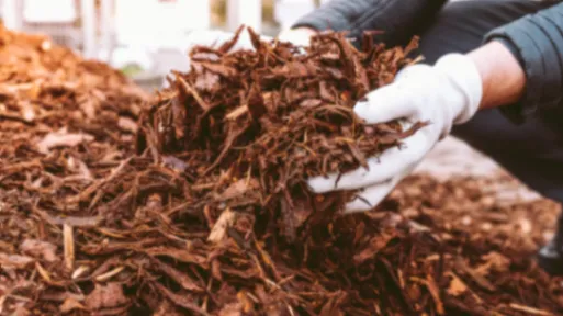 Effective Mulching Techniques for