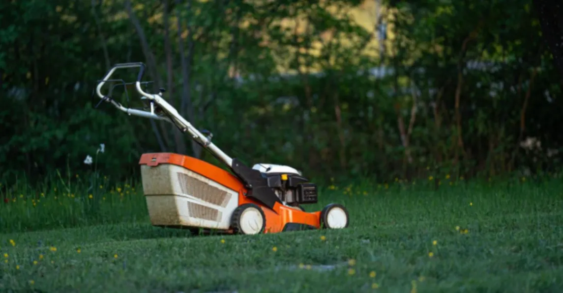How to Choose the Right Commercial and Residential Lawn Care Company in August