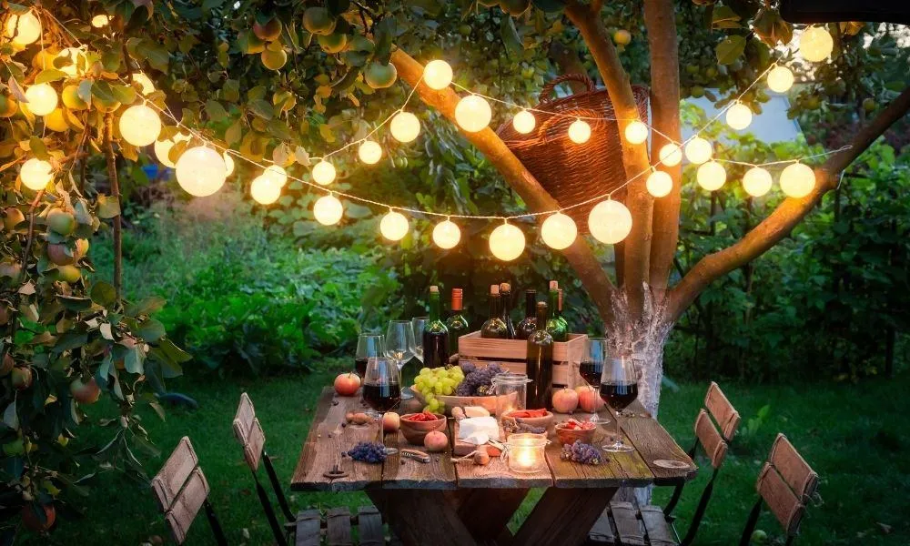 Top 5 Tips for Planning a Perfect Summer Outdoor Event