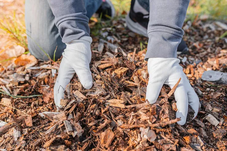 Mulch Installation: Preparing Your Landscape for
