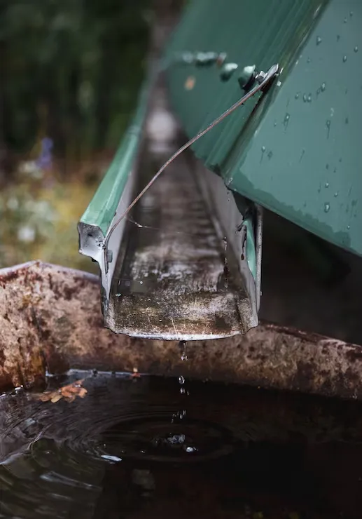 Gutter Maintenance Tips for Homeowners