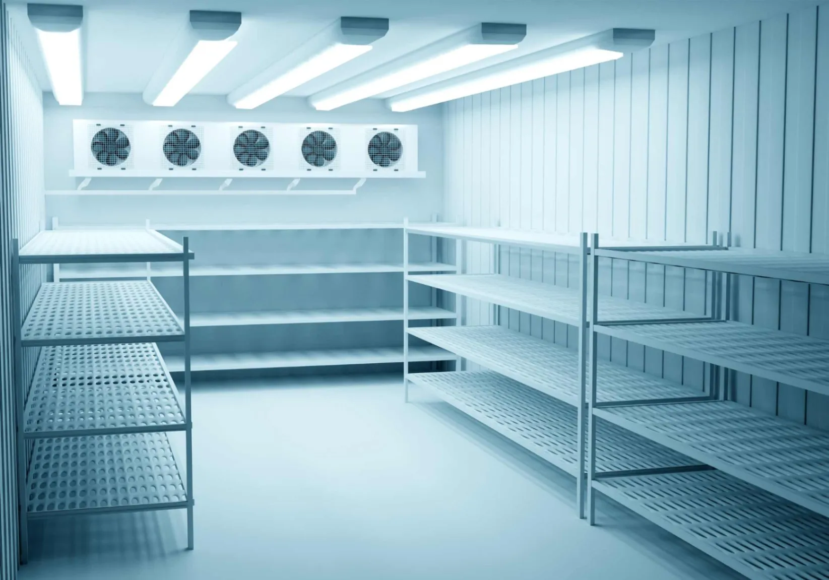 Cold Room Installation: What You Need to Know