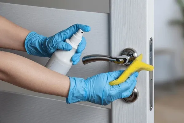 Cleaning: A Guide for Busy Professionals
