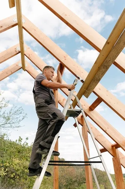 The Importance of Structural Wood Framing in Renovations