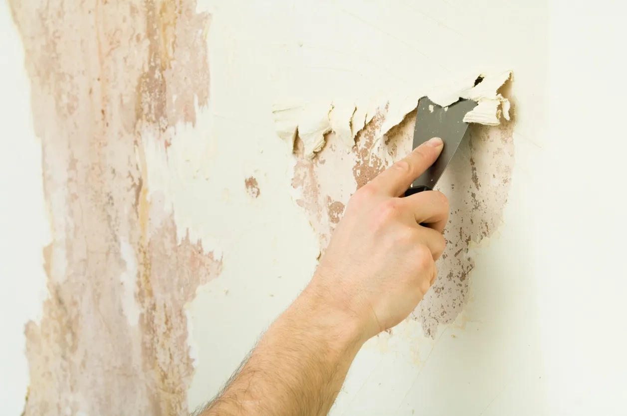 Cleaning: The Benefits of Wallpaper Removal