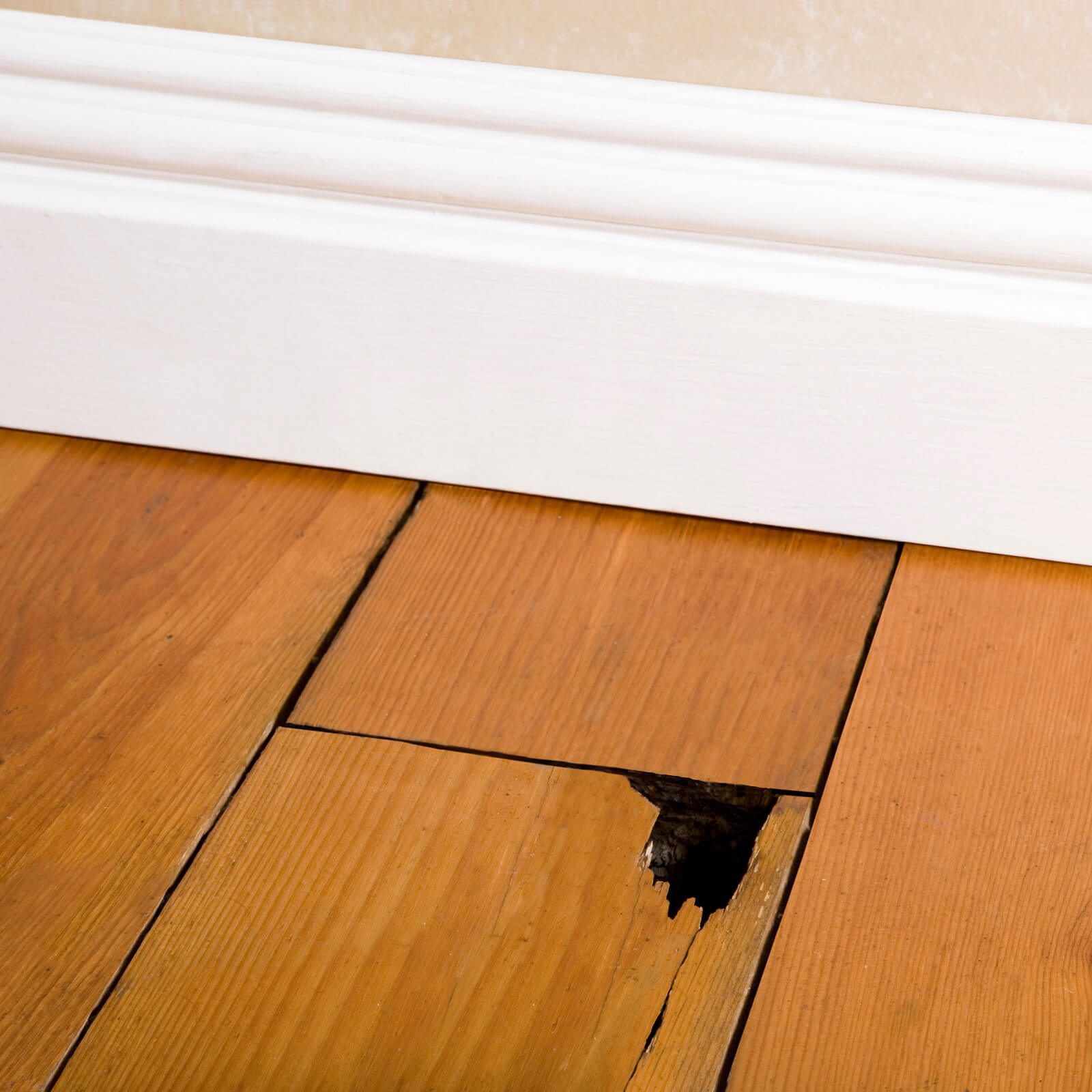 Flooring Repair
