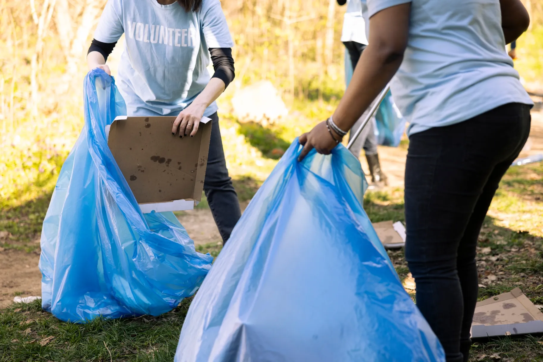 Rodriguez Pro Landscape  LLC