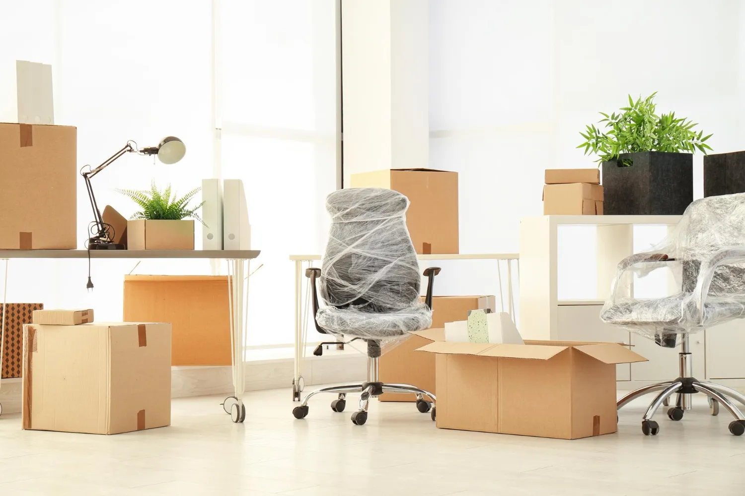 GM Move Transport LLC featured
