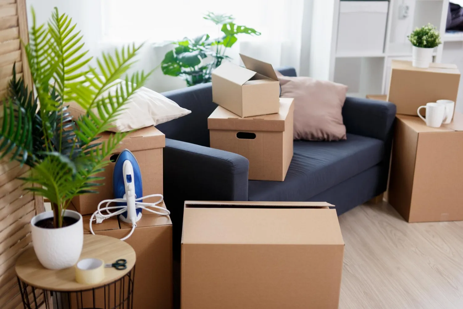 Senior Moving