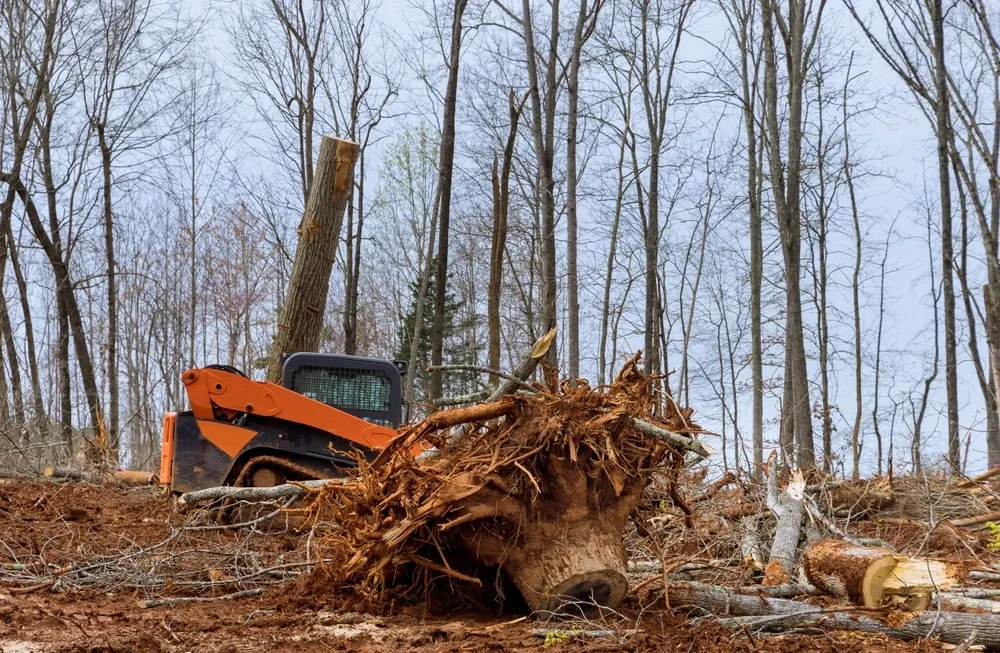 Land Clearing