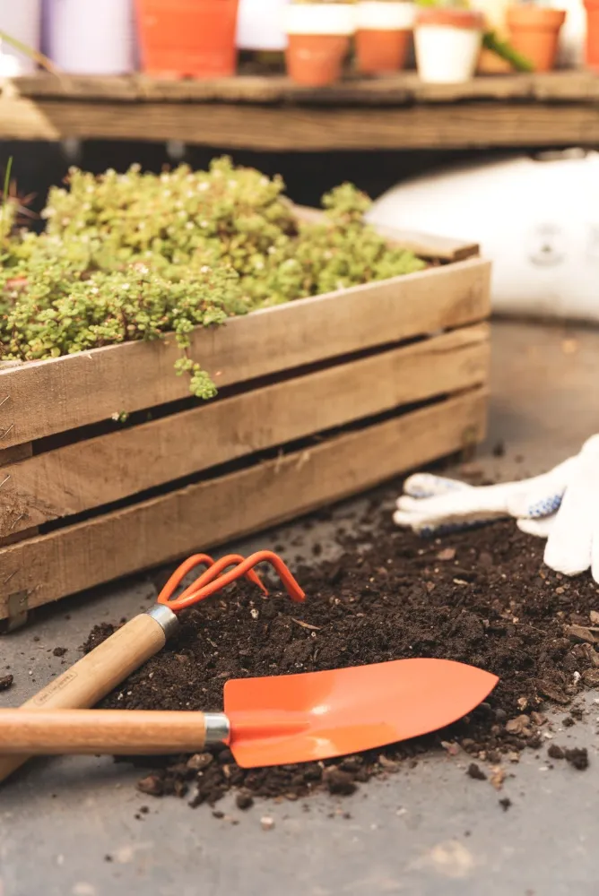 Transforming Outdoor Spaces with Precision-thumb