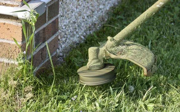 Complete Landscaping, Hardscaping, and Expert Tree Services-2