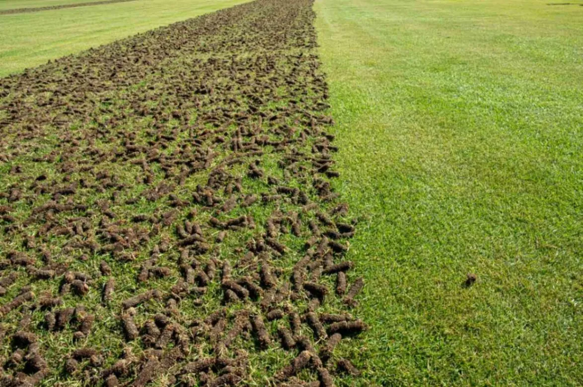 lawn aeration service