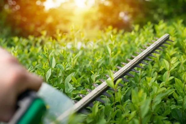 Bush Trimming