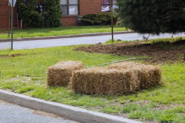 How Pine Straw Enhances Your Landscape