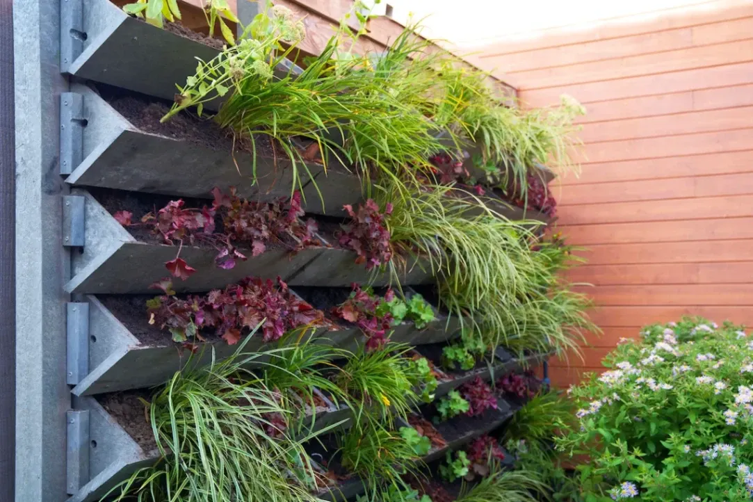 Top 5 Landscaping Trends for 2026