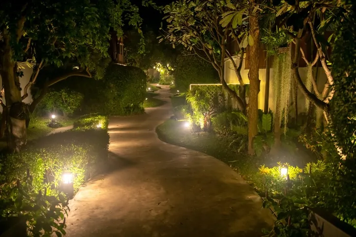 Professional Landscape Design and Meticulous Outdoor Maintenance