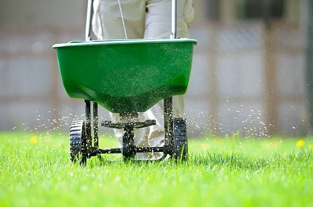 Choosing the Right Fertilizer for Your Lawn
