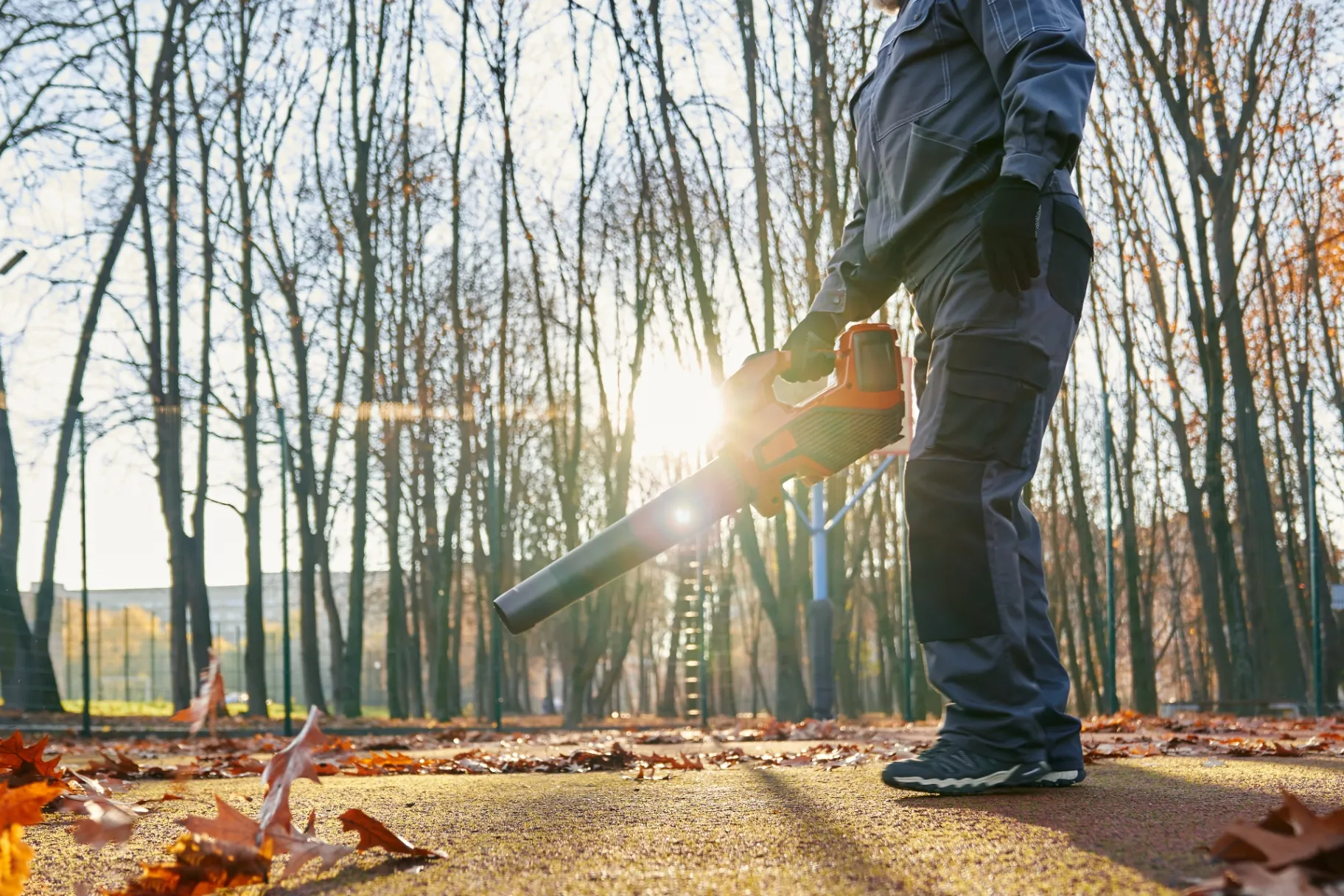 Top 5 Landscape Maintenance Tips for August