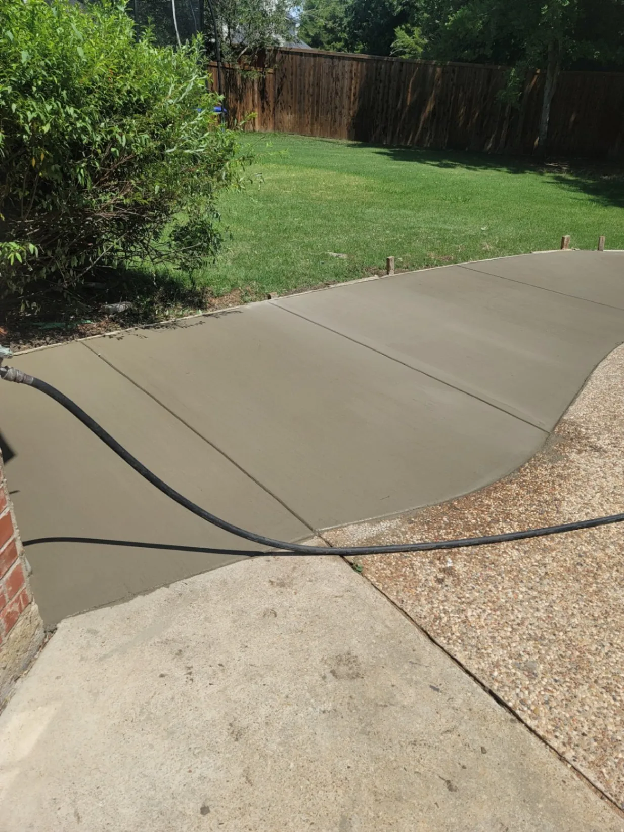 Freshly poured concrete walkway with smooth curved edges in a backyard, adjacent to an older textured surface and bordered by grass and shrubs.