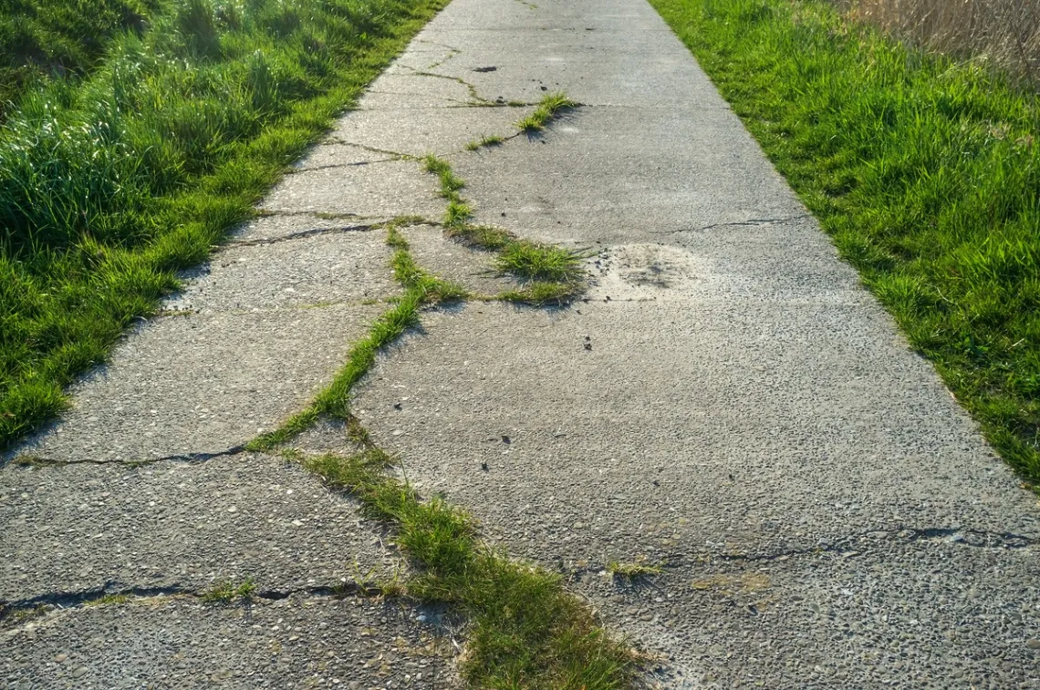 Old concrete pathway with large cracks and grass growing through the damaged sections, surrounded by green grass on both sides.