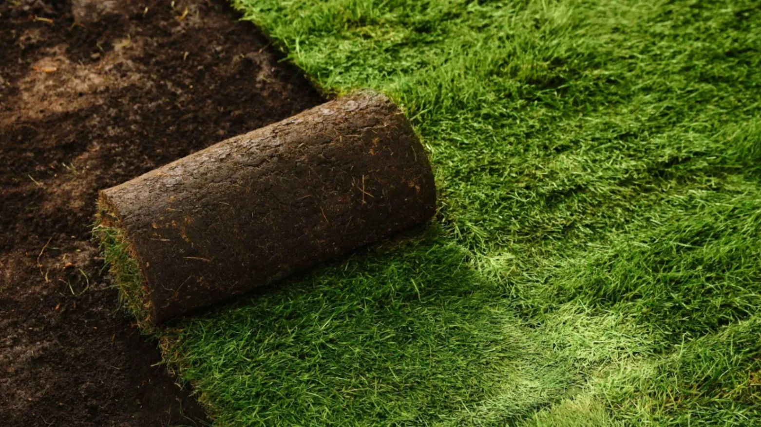 Fresh sod being rolled out on prepared soil during professional sod installation near Temple, TX