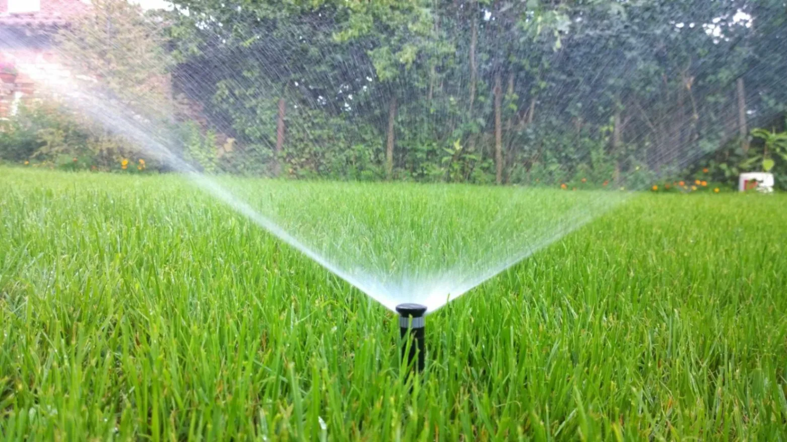 Close-up of automatic sprinkler watering green lawn as part of an irrigation system installation in Temple, TX