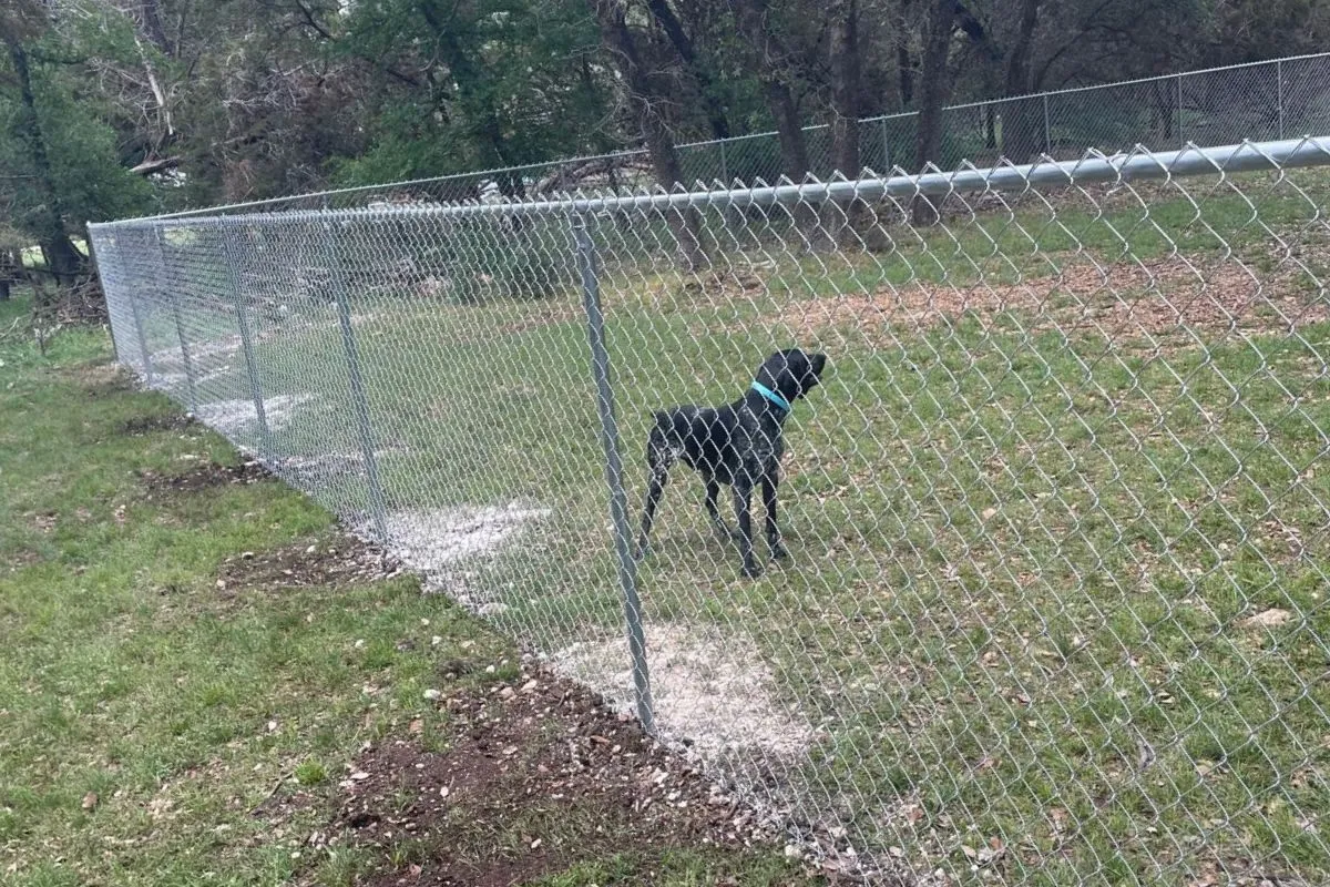 Choose the Durability of Chain Link Fencing