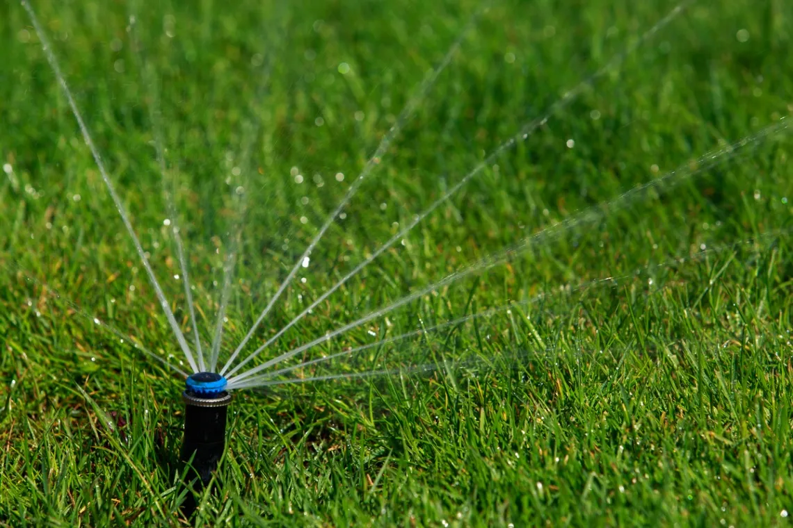 Get Our Irrigation Services Near Salado, TX for a Healthy Landscape!