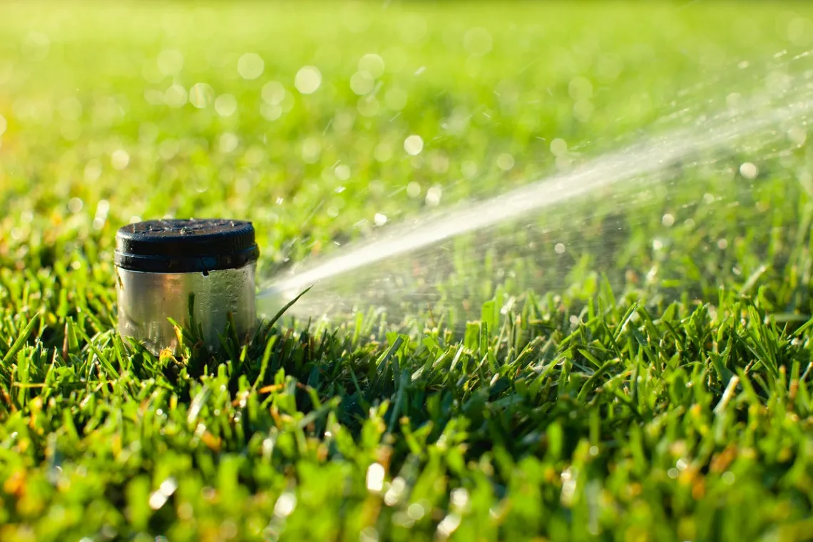 Get Our Sprinkler Repair Services in Killeen, TX, to Guarantee the Health of Your Garden