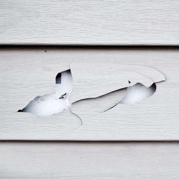 Close-up of damaged vinyl siding with a large tear exposing the underlying layer.