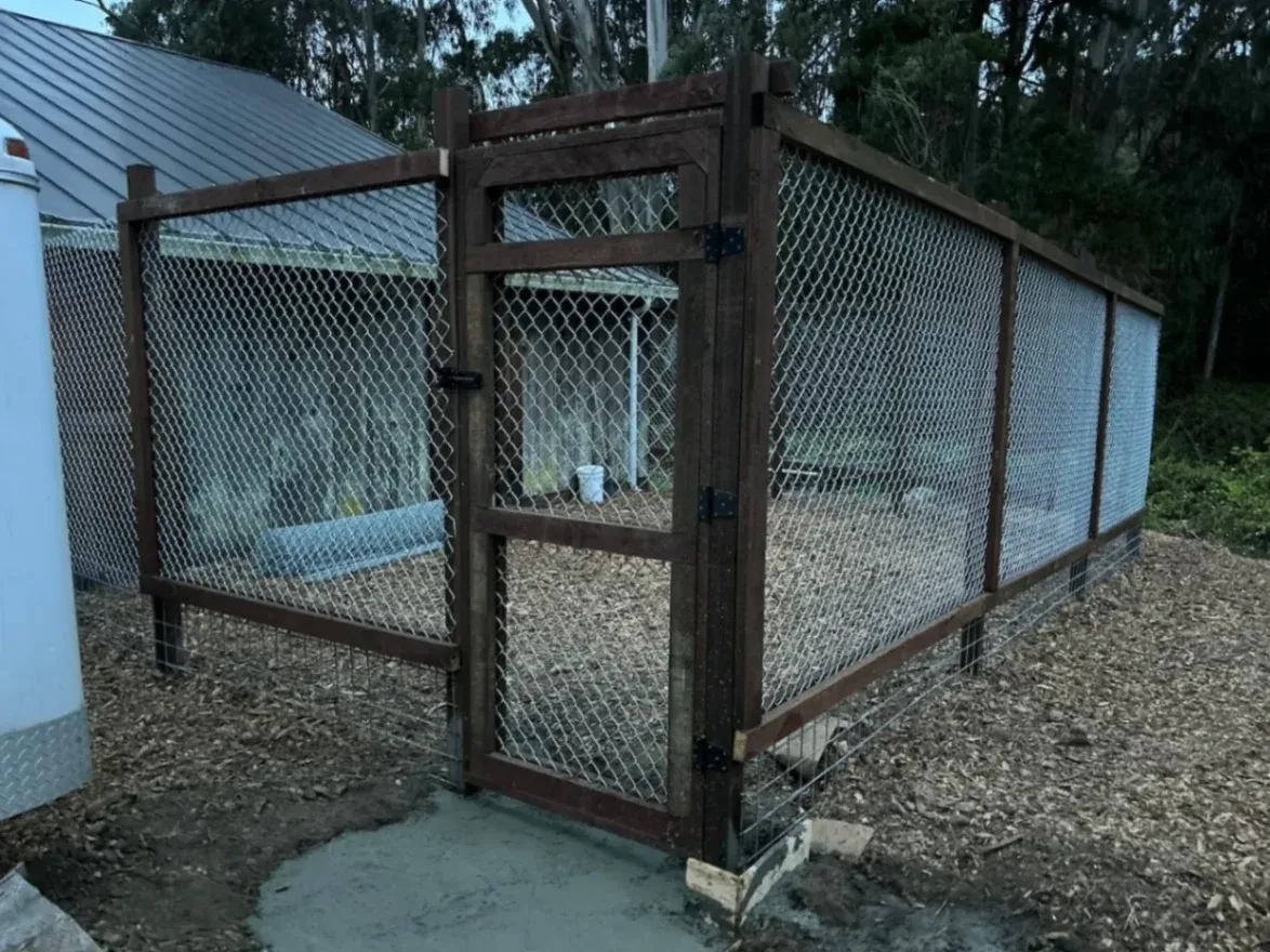 A fenced pen with a wooden frame and chain link wire, featuring a gate with a latch, situated in a backyard