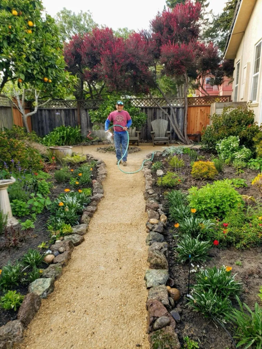 Man watering plants along a stone-bordered garden path, surrounded by colorful flowers, greenery, and trees in a backyard.