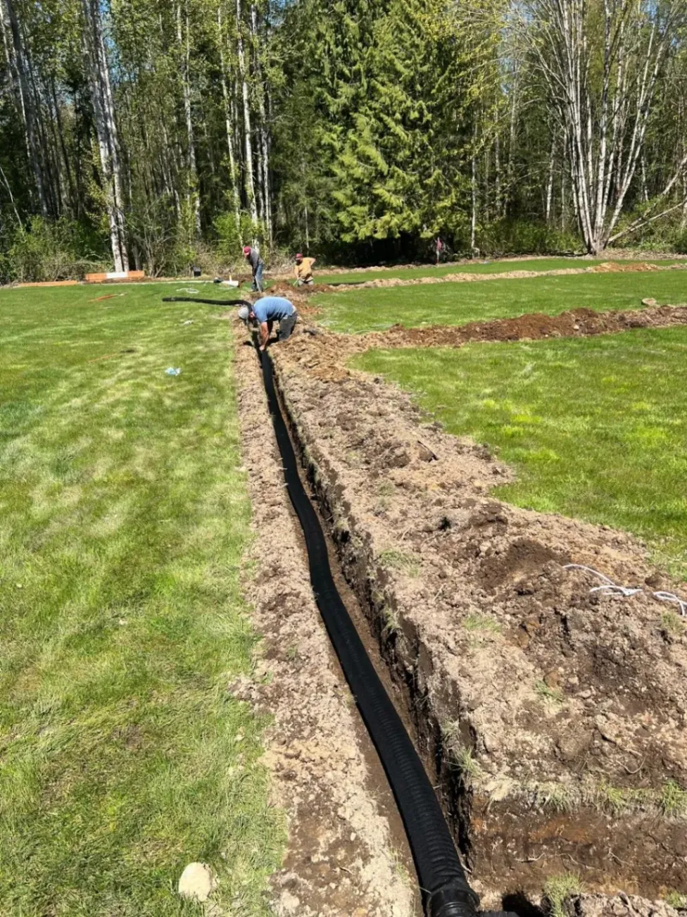 Workers installing a drainage system in a large yard, digging trenches and laying a black drainage pipe surrounded by green grass and trees in the distance.