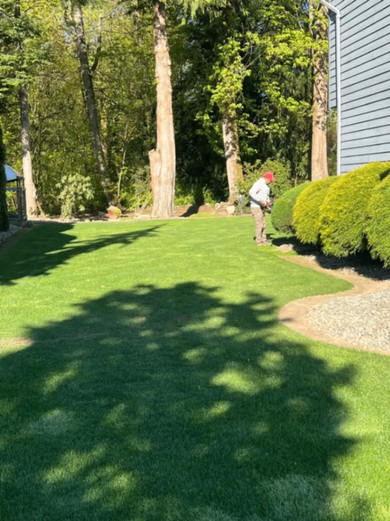 A person in a red cap trimming bushes in a well-maintained backyard surrounded by trees, with sunlight casting shadows across the green lawn.