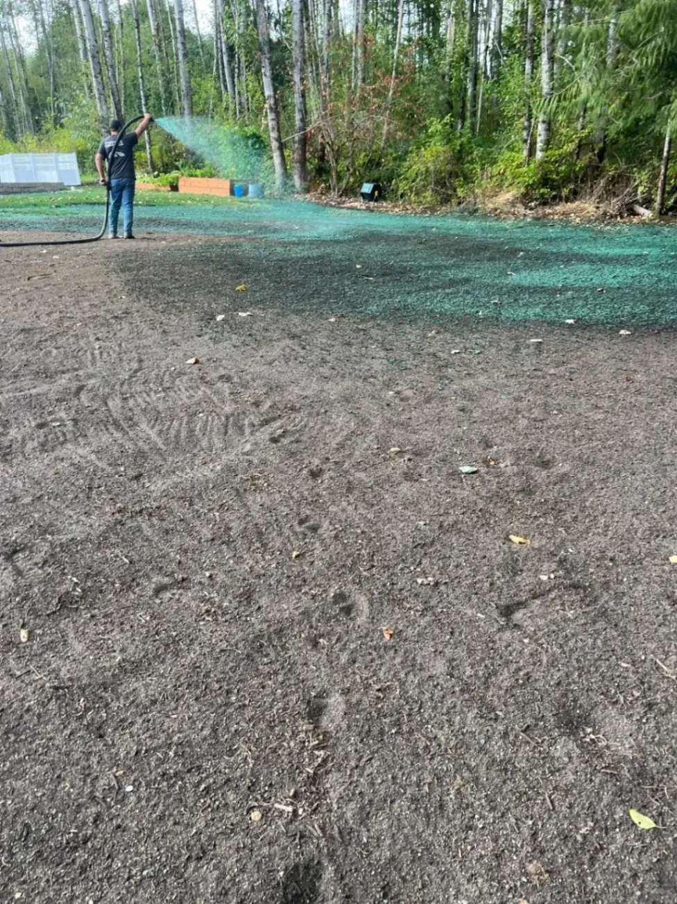 A worker spraying green hydroseeding material over a bare soil area to promote grass growth, with a wooded area in the background.