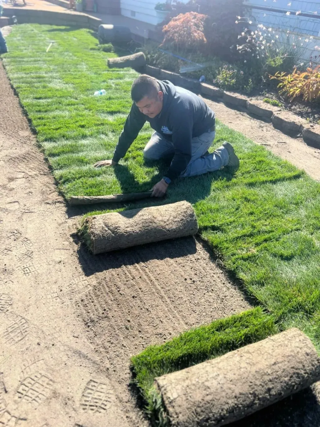 A man laying down fresh rolls of sod in a garden, carefully aligning the grass to cover the soil evenly.