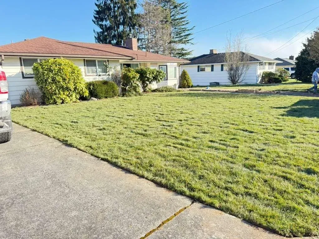 Freshly mowed front lawn in Snohomish, WA, bordered by a concrete driveway and shrubs in front of a single-story suburban home.
